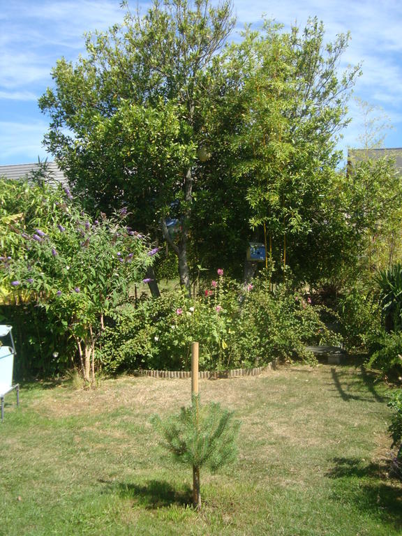 La Medina Bed & Breakfast Surtainville Dış mekan fotoğraf