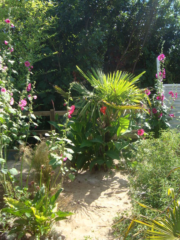 La Medina Bed & Breakfast Surtainville Oda fotoğraf